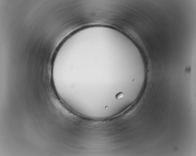 X0000113100892200909182135