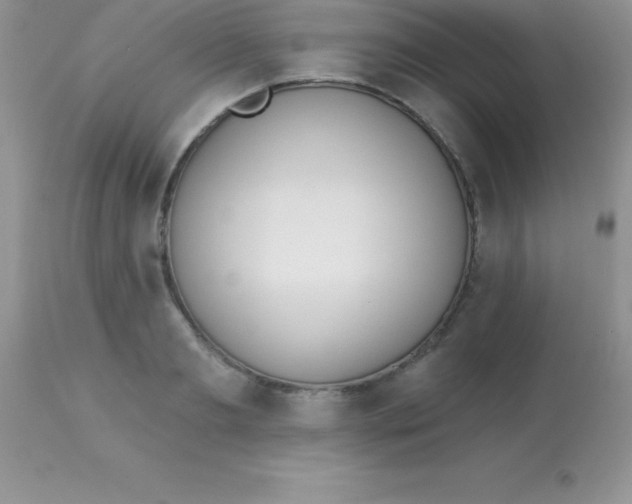 X0000113100893200909182135