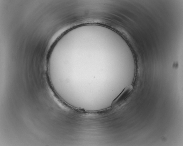 X0000113100894200909182135