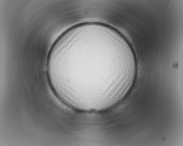 X0000113100895200909182135