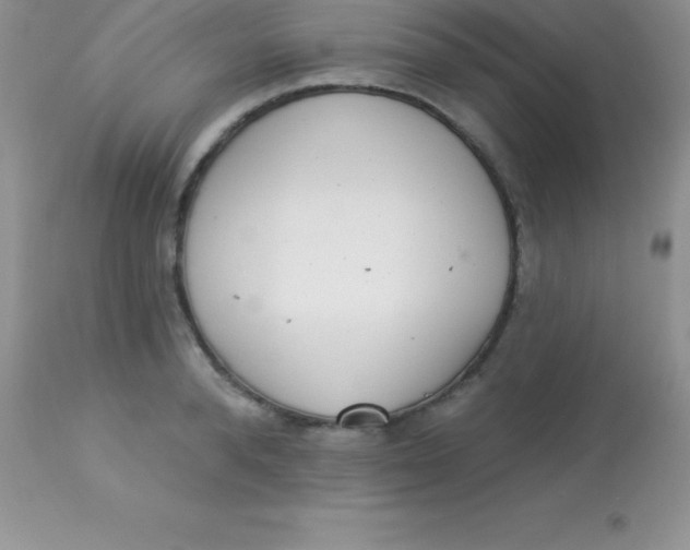 X0000113100896200909182135