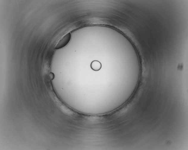 X0000113100897200909182135