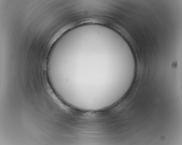 X0000113100898200909182135