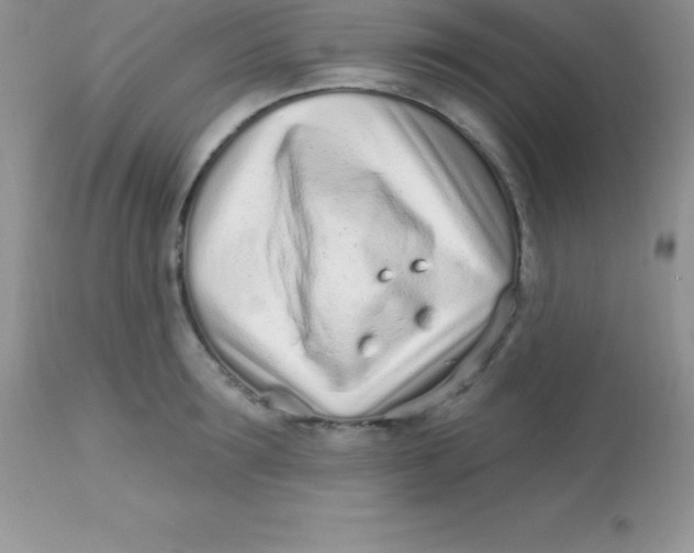 X0000113100899200909182135