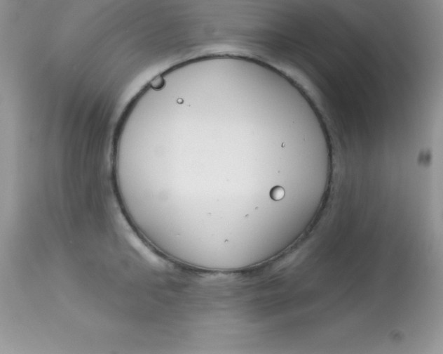 X0000113100902200909182135