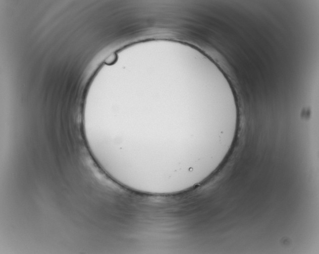 X0000113100904200909182135