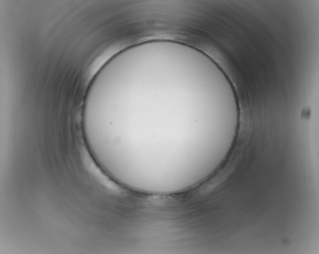 X0000113100906200909182135