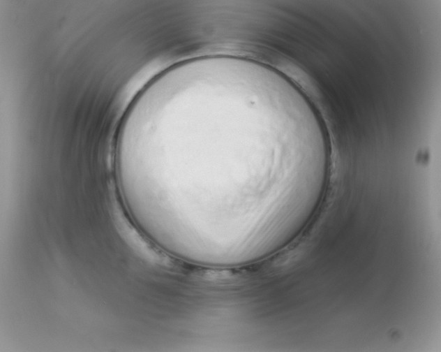 X0000113100907200909182135