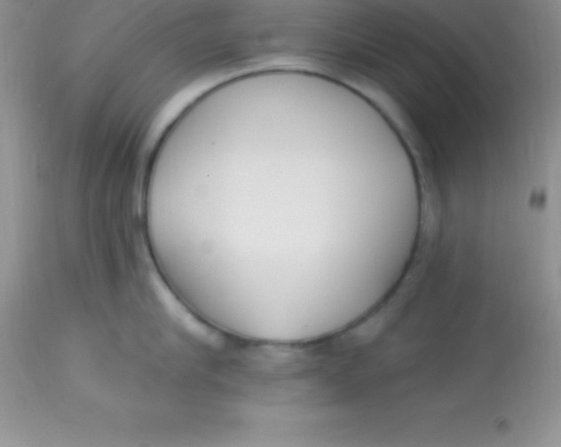 X0000113100910200909182135