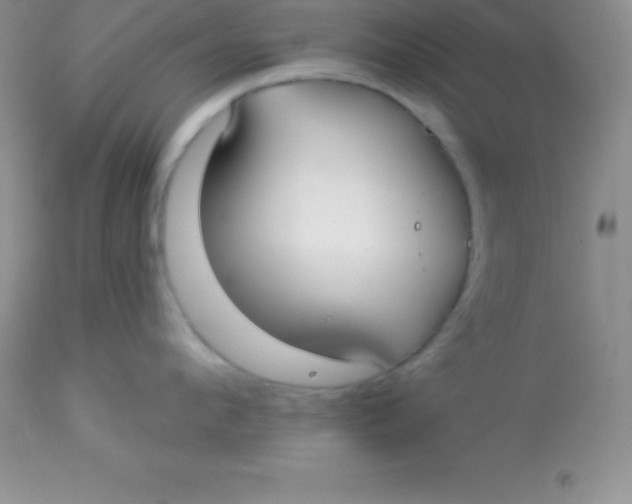X0000113100912200909182135