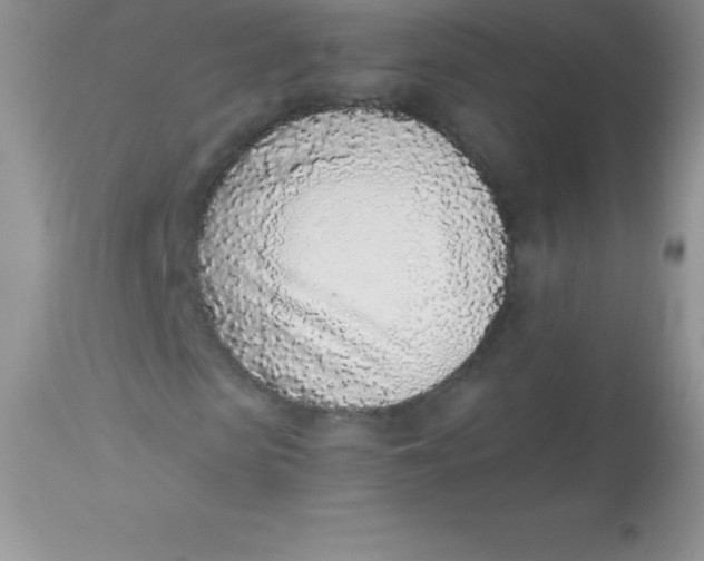 X0000113100913200909182134