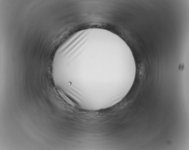 X0000113100916200909182134