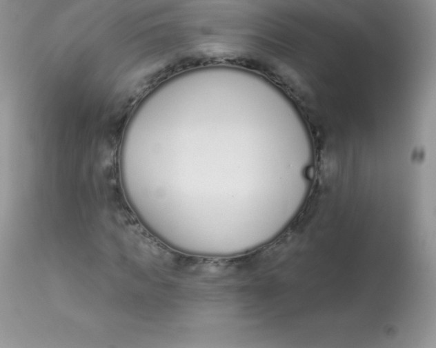X0000113100917200909182134