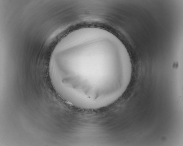 X0000113100919200909182134