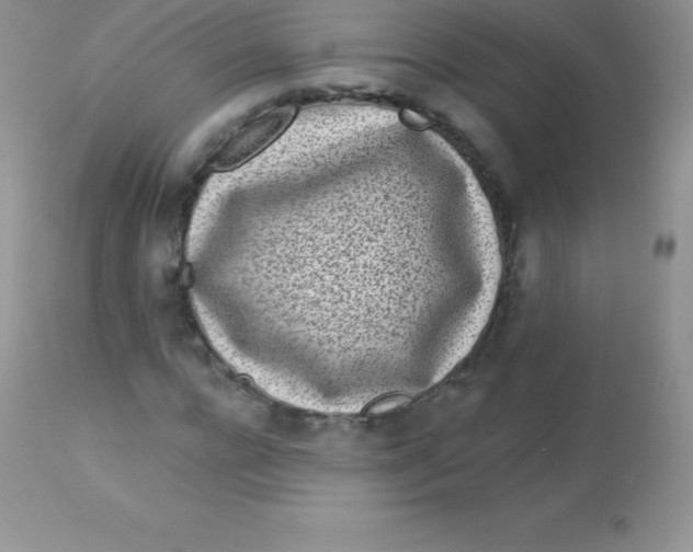 X0000113100920200909182134