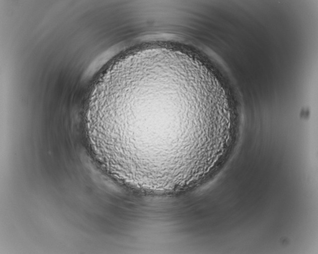 X0000113100921200909182134