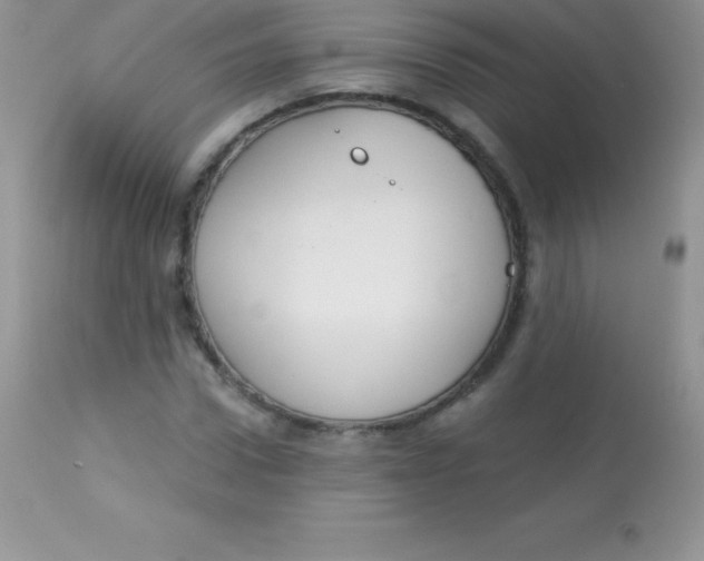 X0000113100922200909182134