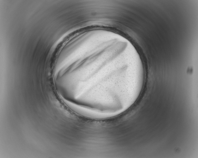 X0000113100923200909182134