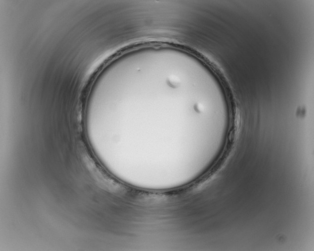 X0000113100925200909182134