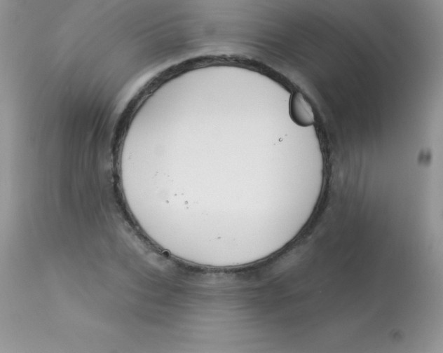 X0000113100927200909182134