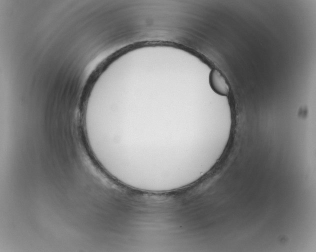 X0000113100928200909182134