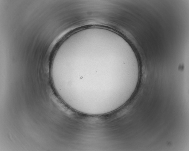 X0000113100931200909182134
