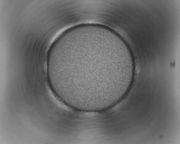 X0000113100934200909182134