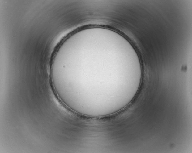 X0000113100935200909182134