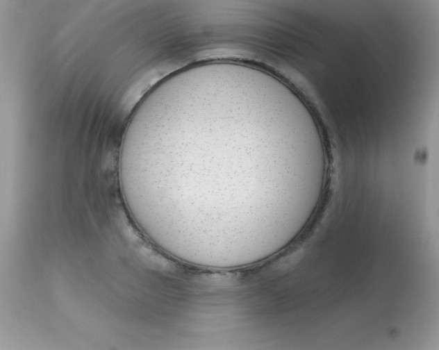 X0000113100937200909182134