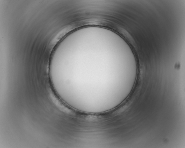 X0000113100938200909182134