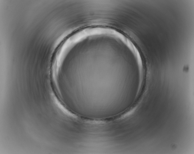 X0000113100941200909182134