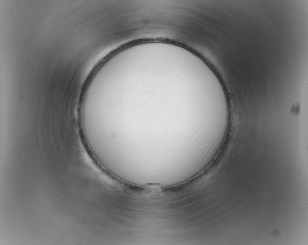 X0000113100943200909182134