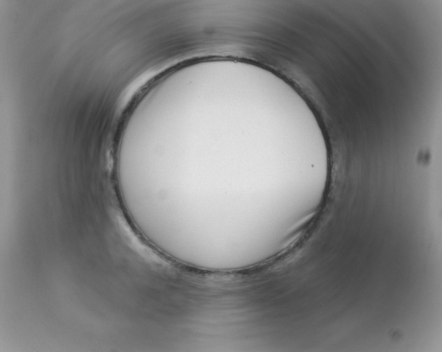 X0000113100944200909182134