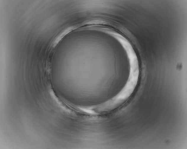X0000113100945200909182134