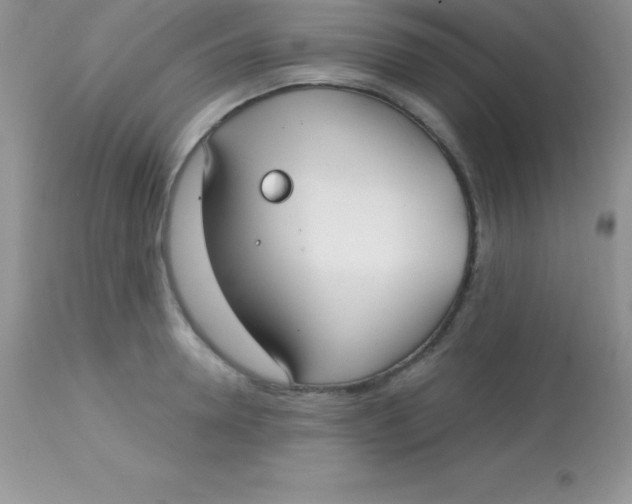 X0000113100946200909182134
