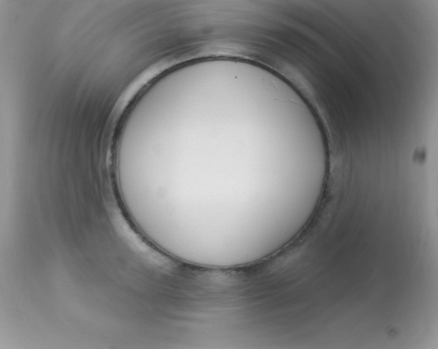 X0000113100947200909182134