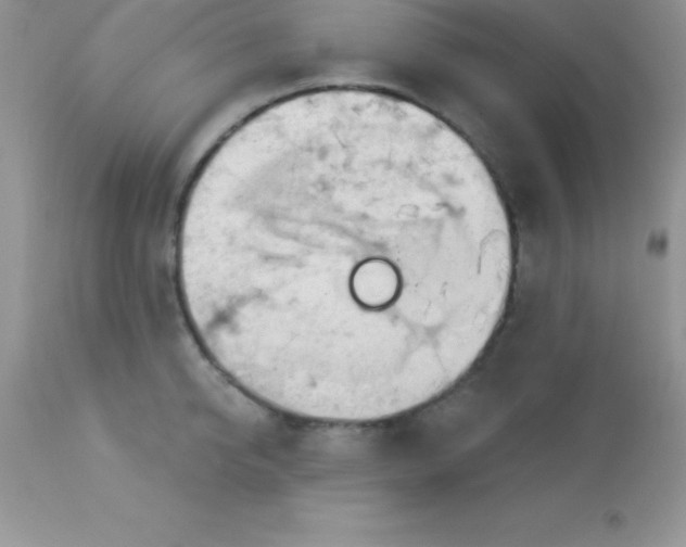 X0000113100950200909182135