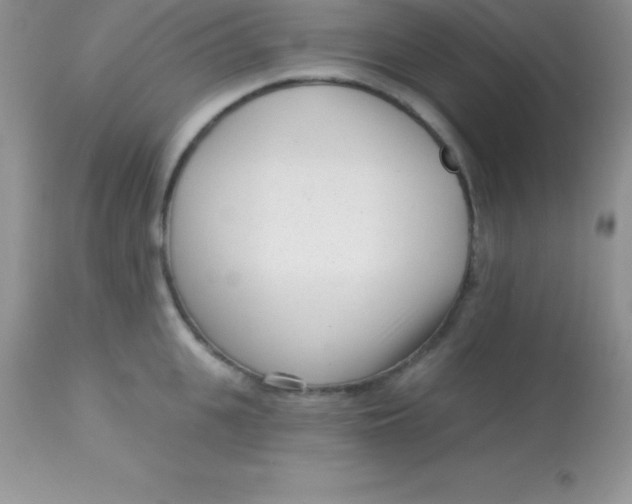 X0000113100951200909182135