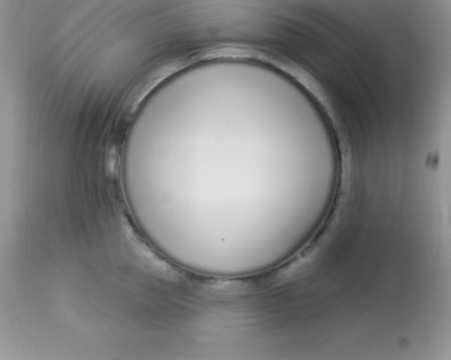 X0000113100953200909182135