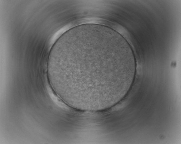 X0000113100954200909182135
