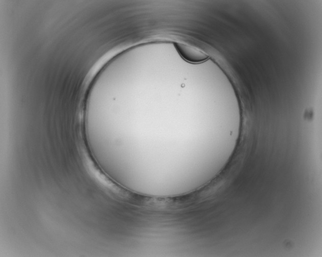X0000113100955200909182135
