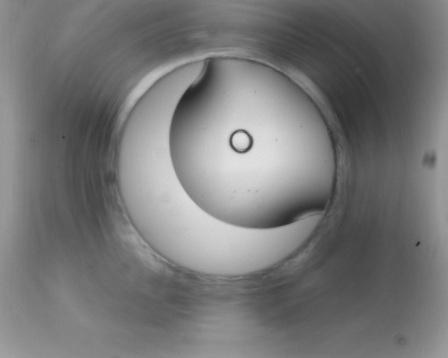 X0000113100956200909182135