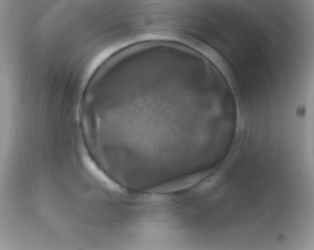 X0000113100958200909182135