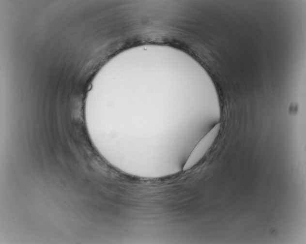 X0000113100964200909182134