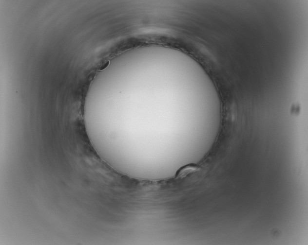 X0000113100965200909182134