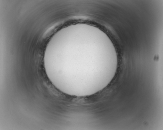 X0000113100967200909182134