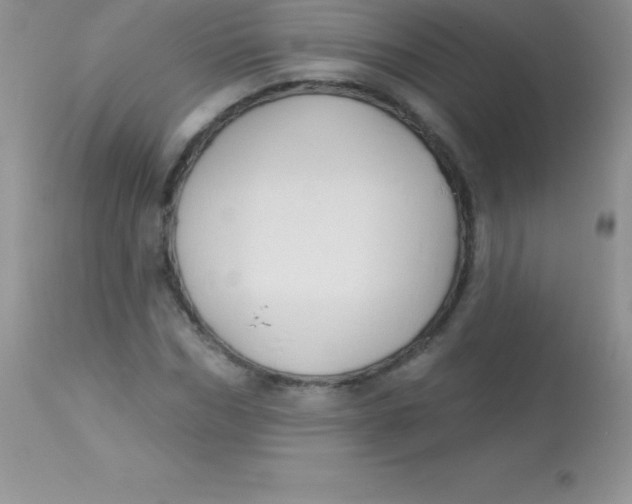 X0000113100970200909182134