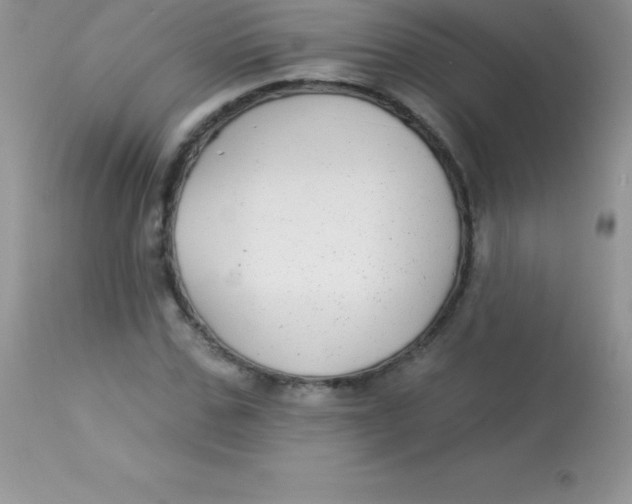 X0000113100971200909182134