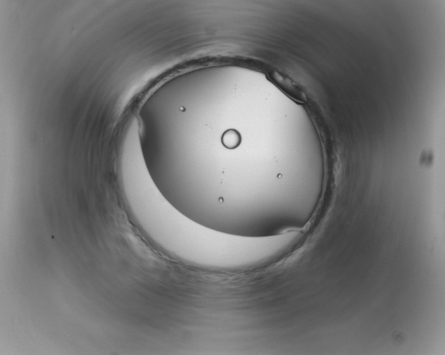 X0000113100973200909182134