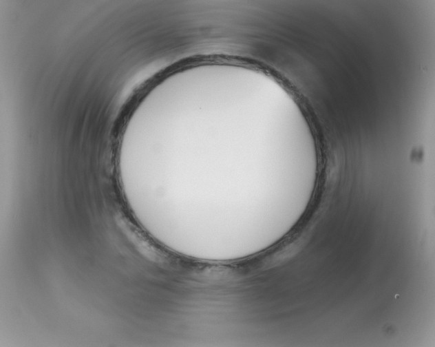 X0000113100974200909182134